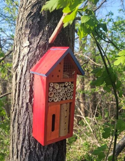 Habitat boxes for birds, bees and bats in Grand Rapids.