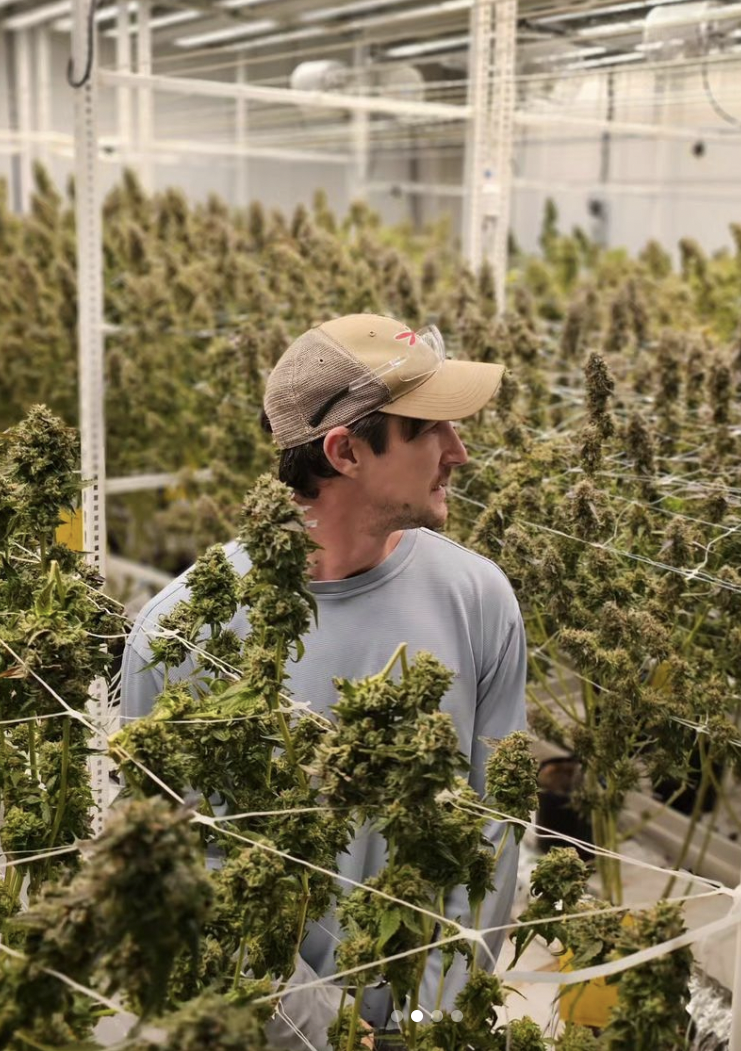 Casey, one of the local owners of Pharmhouse Wellness, tending to his locally grown cannabis next to the store. 